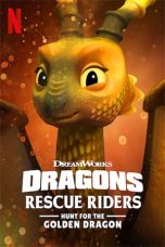 Nonton film Dragons: Rescue Riders: Hunt for the Golden Dragon (2020)