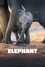 Nonton film Elephant (2020)